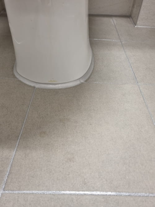 리뷰