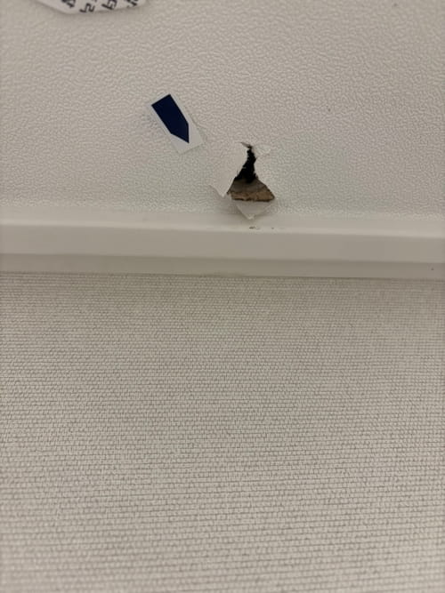 리뷰